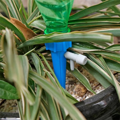 Arrosage goutte à goutte bleu dans pot de fleur