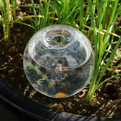 Arrosage goutte à goutte transparent dans vase
