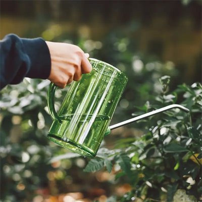 Arrosoir jardin vert