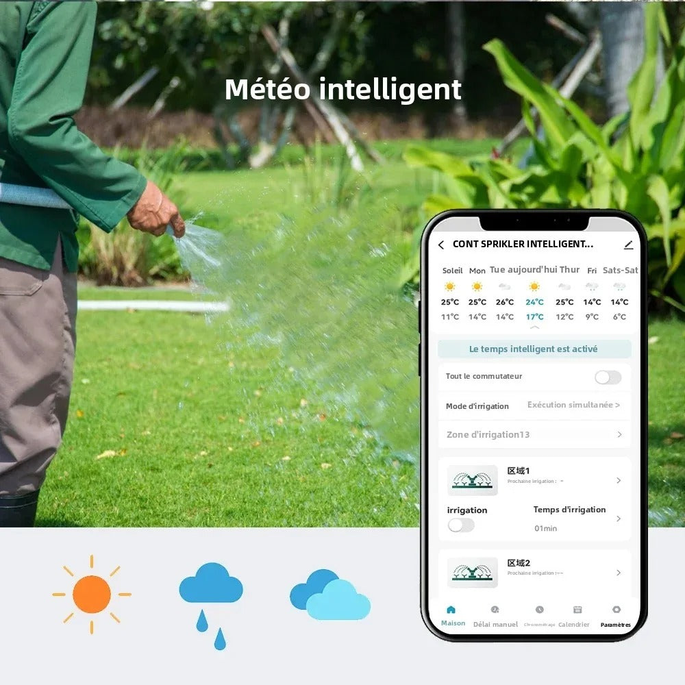 controleur d arrosage avec capteur intelligent pour meteo