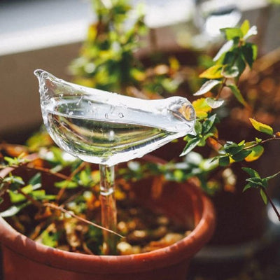 Pot de fleur avec arrosage goutte Ă goutte