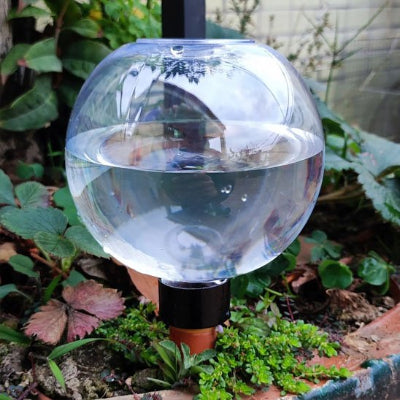 Arrosage goutte à goutte Boule dans vase