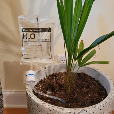 Arrosage goutte à goutte dans pot de fleur