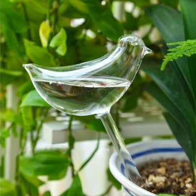 Arrosage goutte à goutte dans pot