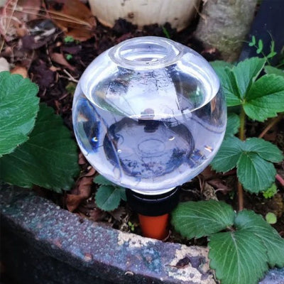 Arrosage goutte à goutte dans vase de fleur