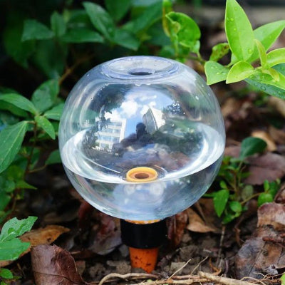 Arrosage goutte à goutte hydrate plante jardin