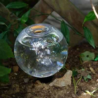 Arrosage goutte à goutte irrigue sol dans jardinière 