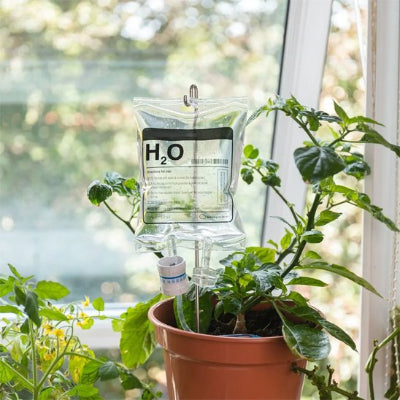 Arrosage goutte à goutte par poche hydratante