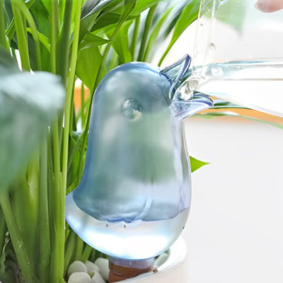 Arrosage oiseau  bleu dans pot de fleur