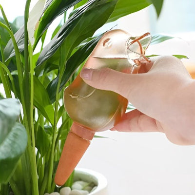 Arrosage oiseau goutte à goutte rose