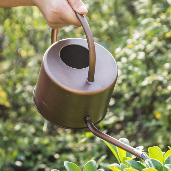 Arrosage plantes avec arrosoir Bronze