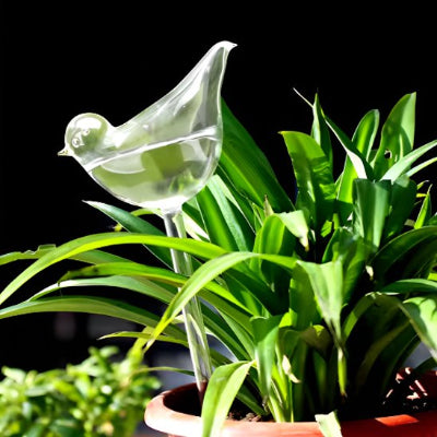 Arroseur automatique dans magnifique plante verte