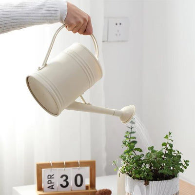 Arrosoir d'intérieur​ avec pommeau pour arrosage pluie