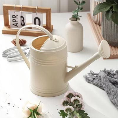 Arrosoir d'intérieur​ Beige