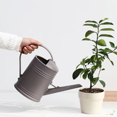 Arrosoir d'intérieur​ gris avec poignée ergonomique