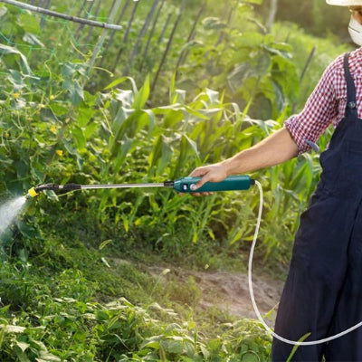 Dame arrose plantes avec pulvérisateur 