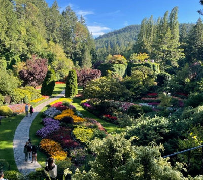 jardin fleuri grâce au programmateur d'arrosage wifi