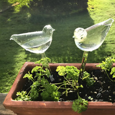 Jardinière avec arroseur automatique
