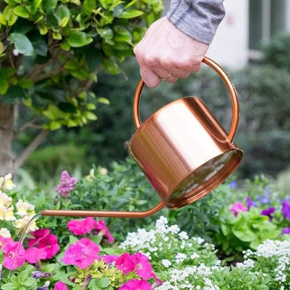 Monsieur arrose  jolies fleurs avec arrosoir